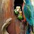 Kingfisher Birds Vs Snake Birds Snake Kingfisher Cute