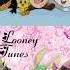 Baby Looney Tunes ब ब ल न ट य न स Hindi Factes Shorts Cartoon