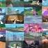 Animated Series 2007 2015 Phineas And Ferb All Seasons On One Display At The Same Time