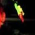 The Hillbilly Moon Explosion My Love For Evermore Ft Sparky From Demented Are Go Trailer