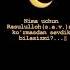 Ya Rasululloh