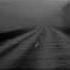 The Ride David Allan Coe