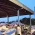 Zorba S Dance At The Austin Greek Festival May 24 2025