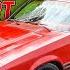 Will It RUN And DRIVE After 22 Years V8 Mustang Rescued After DECADES