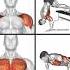 HUGE TRAPS CHEST SHOULDERS AND ARMS AT HOME Music Beats Slowedandreverb Remix Shoulder