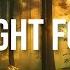 Twilight Forest Deep Ambient Soundscape For Relaxation Focus