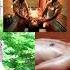 Vaidyagrama And Ayurveda Healing