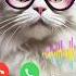 Iphone Mobile Best Ringtone Short Shorts Calling Ringtone