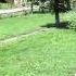 Nistor Hancianu Viata Omului 0741503261 0752573933