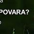 Maria Bahica De Ce Porti Tu Povara 𝑶𝒇𝒇𝒊𝒄𝒊𝒂𝒍 𝑽𝒊𝒅𝒆𝒐