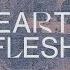 Leeland TAYA Heart Flesh Official Lyric Video