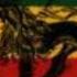 Marcia Griffiths It S Too Late Reggae Music
