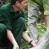 Harvesting Watermelon Go Market Sell Releasing A Giant PYTHON Back To The Wild