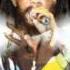 NINJA MAN FT TINGA STEWART COVER ME UNFINISH BUSINESS RIDDIM