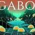 AL Sharif Corx Diego Antoine Vagabond
