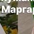 Книжный обзор Рассказ служанки и Заветы Маргарет Этвуд