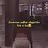 Nuk Du Tjeter Love Cutebaby My Subscribe Like Comedy Lyrics Shqip Live Song Favorite Its