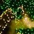 Main Street Electrical Parade Performance On Disneyland S 62nd Anniversary
