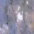 STEFAN HRUSCA Ninge La Fereastra Avi YouTube