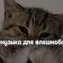 музыка для флешмоба 2023