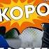 Скоро Формула Зеленского на Крым Реалии ТВ