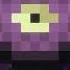 Shulker Fan Made Minecraft Music Disc