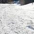 Webster Flat Snowy Walk Dixie National Forest ASMR 3D Audio Binaural
