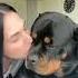 I Can T Stop Kissing My Rottweiler