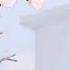 Studio Killers Jenny S L O W E D R E V E R B