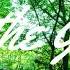 Tokyo Music Walker Into The Green