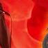 SPARK AGAIN Metal Cover By ANIATAMA Fire Force S2 OP