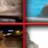 Videos Taken Right Before Disasters Vol 2
