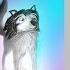 Draw A Wolf A O Maahir2005 Ibis Paint X