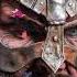 Epic Viking Instrumental Music Nordic Sound For Gaming Chill No Copyright