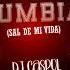 Mix Cumbia Sal De Mi Vida Dj Caspol