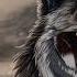 Most Epic Music Ever The Wolf And The Moon By Brunuhville