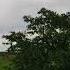 Welcome To Mere Gaon Ka Mausam