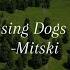 I Bet On Losing Dogs By Mitski Speed Up Remix
