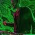 Aukan RadiOzora In Focus Studio Mix