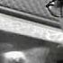 Zither Man 1950