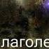 Воспойте Господу песнь новую Христианское караоке