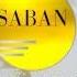 Saban Entertainment Logo 1988