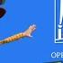 20th Century Fox 1995 REMAKE For Jnr Oz