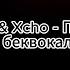 MACAN Xcho Простуда минус беквокал текст