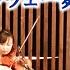 ホッジポッジ楽団 ノルウェー舞曲 Dance Norvegienne 坂上真清 ケルティックハープ