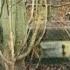 The Lost Village Of Dudleytown