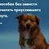 Почитать друга Мужчины цитаты мужчины мужчина цитаты цитата мудрость цитати женщина цитати