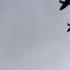 16 Spitfires Flying Together The Sound Of Victory Goosebumps