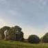 Autumn FPV
