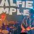 Movies Alfie Templeman Live At Leeds 16 11 24